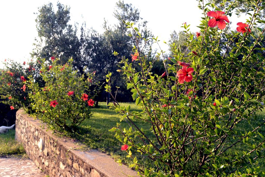 Agriturismo Le Carolee Pianopoli Exterior photo