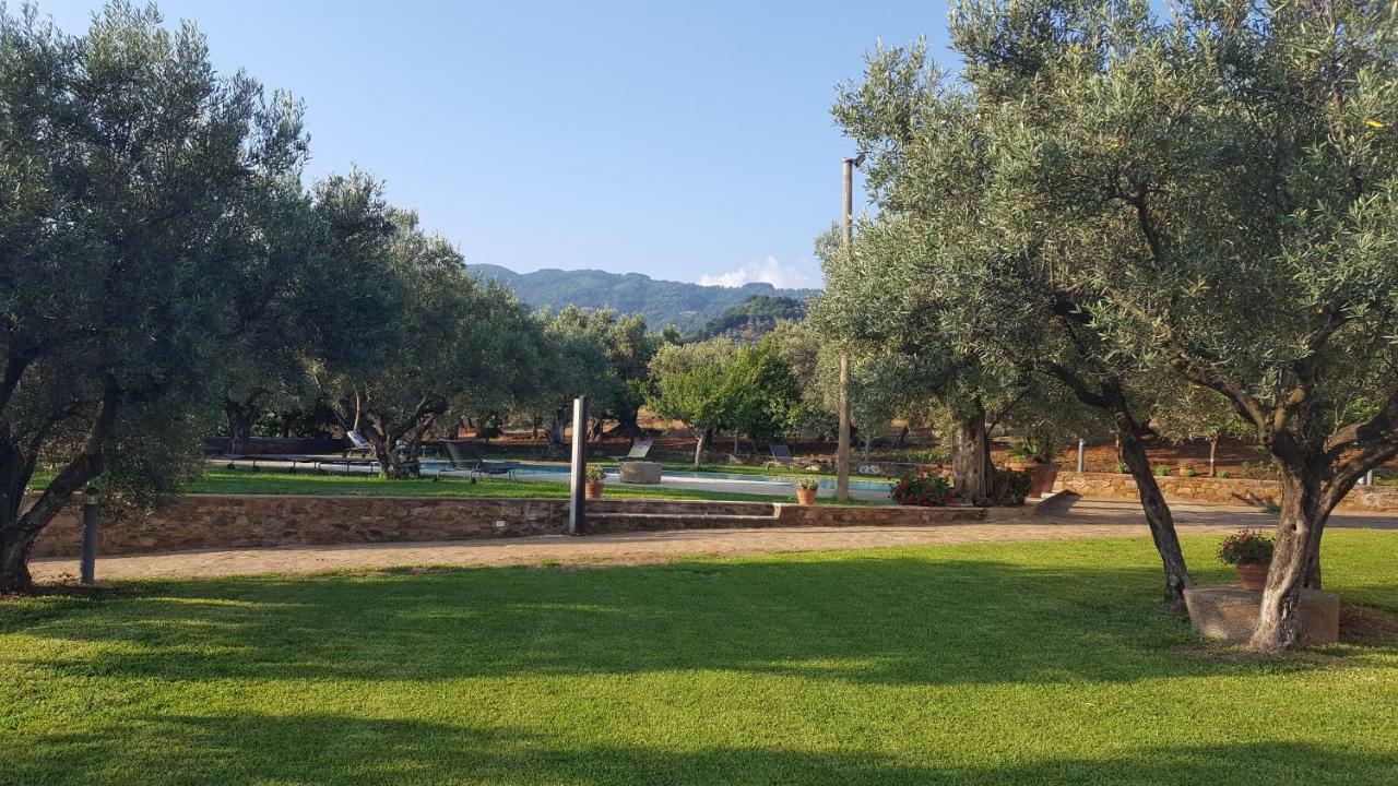 Agriturismo Le Carolee Pianopoli Exterior photo